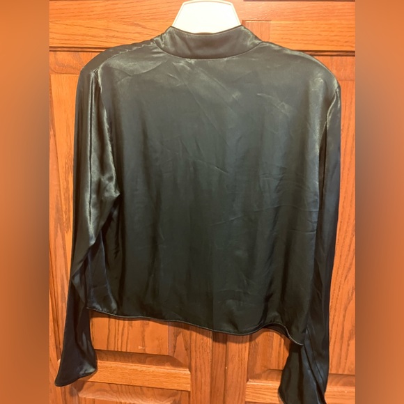 NWT ZARA silky v neck.Long sleeved 💯 viscose top. Hunter green. 3 Frog closures - Picture 4 of 5